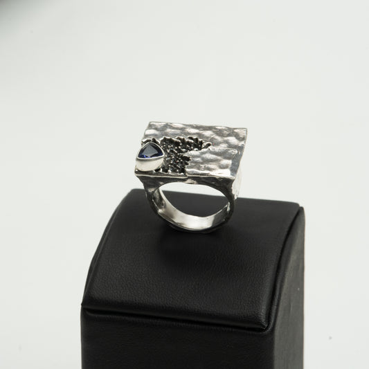 Inel Argint "Discover"  (48 - 60)